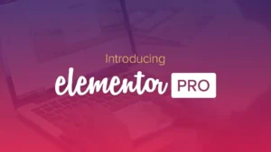 Elementor Pro v3.29.0